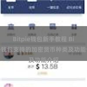 Bitpie钱包新手教程 Bitpie钱包支持的加密货币种类及功能介绍