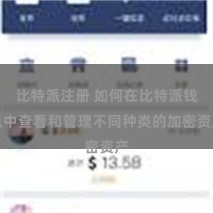 比特派注册 如何在比特派钱包中查看和管理不同种类的加密资产