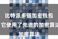 比特派多链加密钱包  它使用了先进的加密算法
