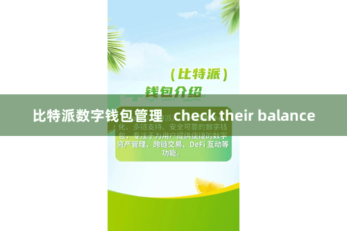 比特派数字钱包管理   check their balance